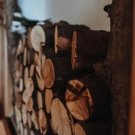 Inn Berggasthof Hochproeller Sankt Englmar
